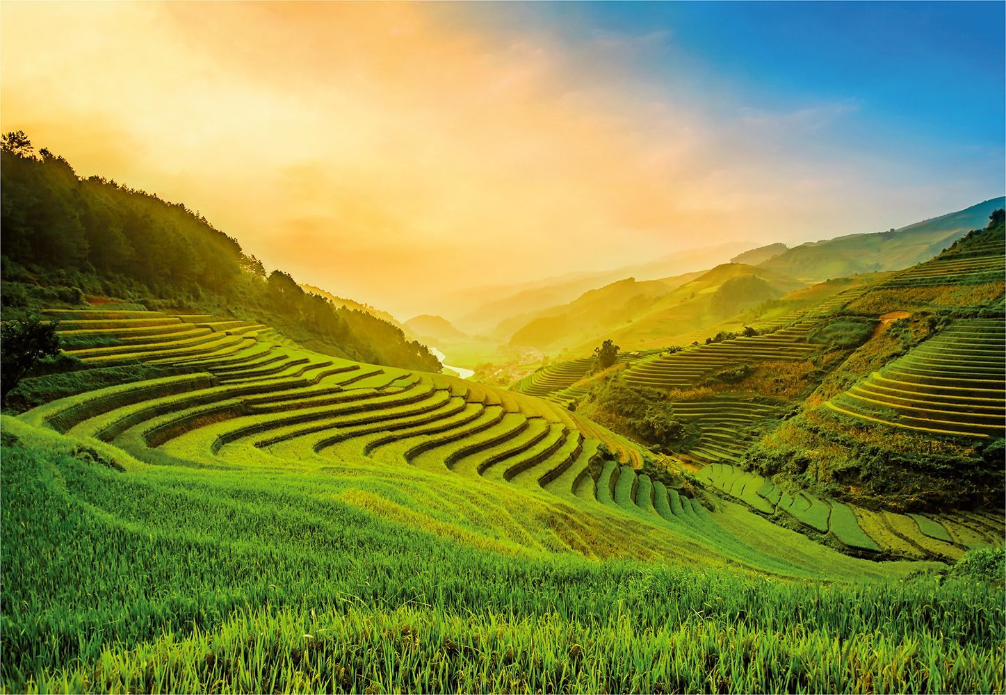 sustainable tourism policy in vietnam